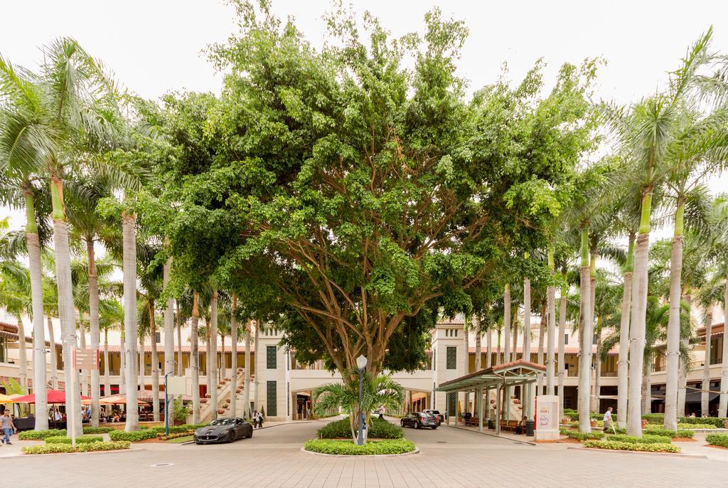 Pelicanstay In Coral Gables Miami מראה חיצוני תמונה